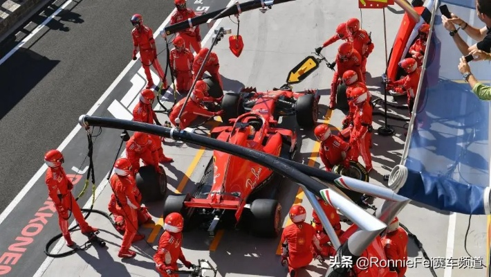 F1赛车明星的技能和战术介绍-第3张图片-www.211178.com_果博福布斯