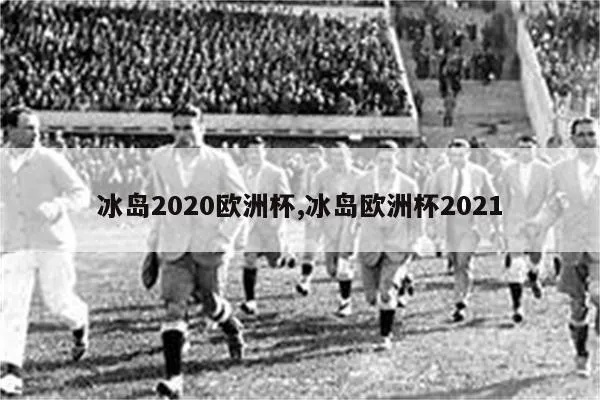 冰岛今年欧洲杯 冰岛无缘2021欧洲杯