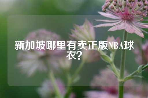 新加坡哪里有卖正版NBA球衣？-第1张图片-皇冠信用盘出租