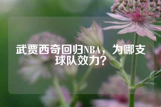 武贾西奇回归NBA，为哪支球队效力？