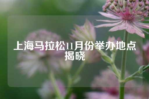 上海马拉松11月份举办地点揭晓