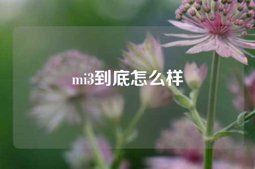 mi3到底怎么样-第1张图片-皇冠信用盘出租