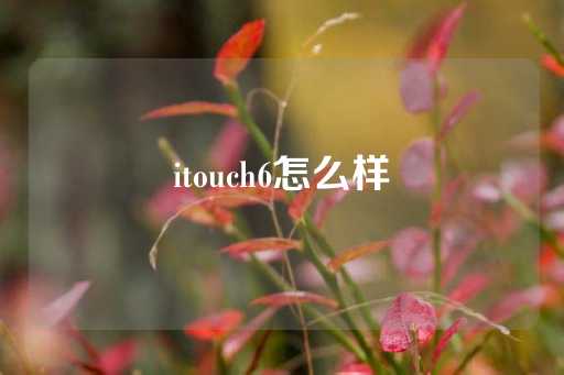 itouch6怎么样-第1张图片-皇冠信用盘出租